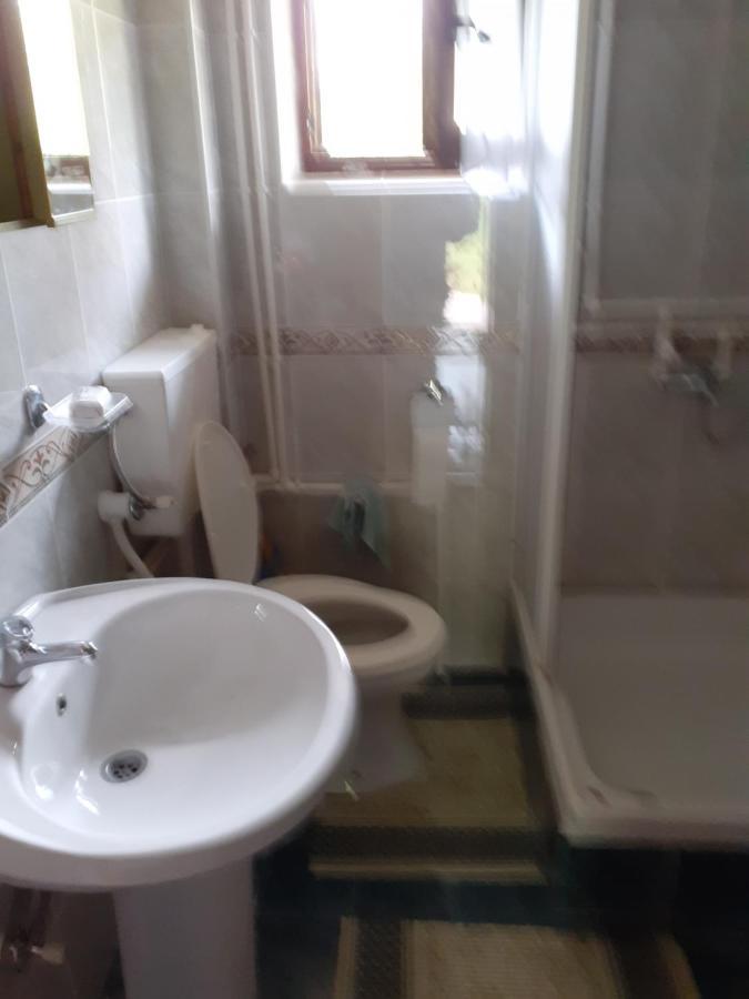 Studio Apartman Jelena Zaovine Zewnętrze zdjęcie