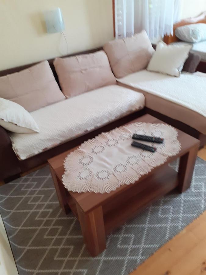 Studio Apartman Jelena Zaovine Zewnętrze zdjęcie