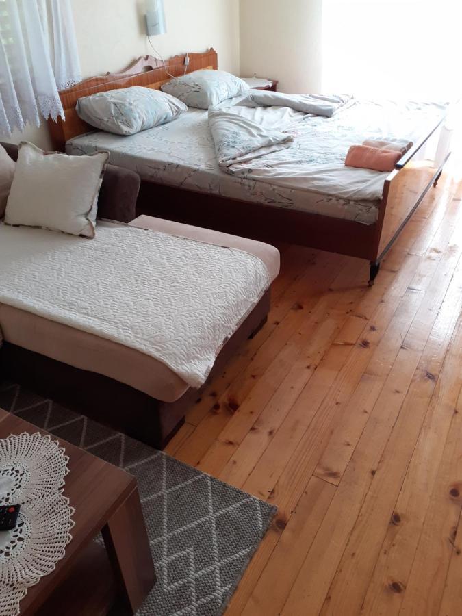 Studio Apartman Jelena Zaovine Zewnętrze zdjęcie